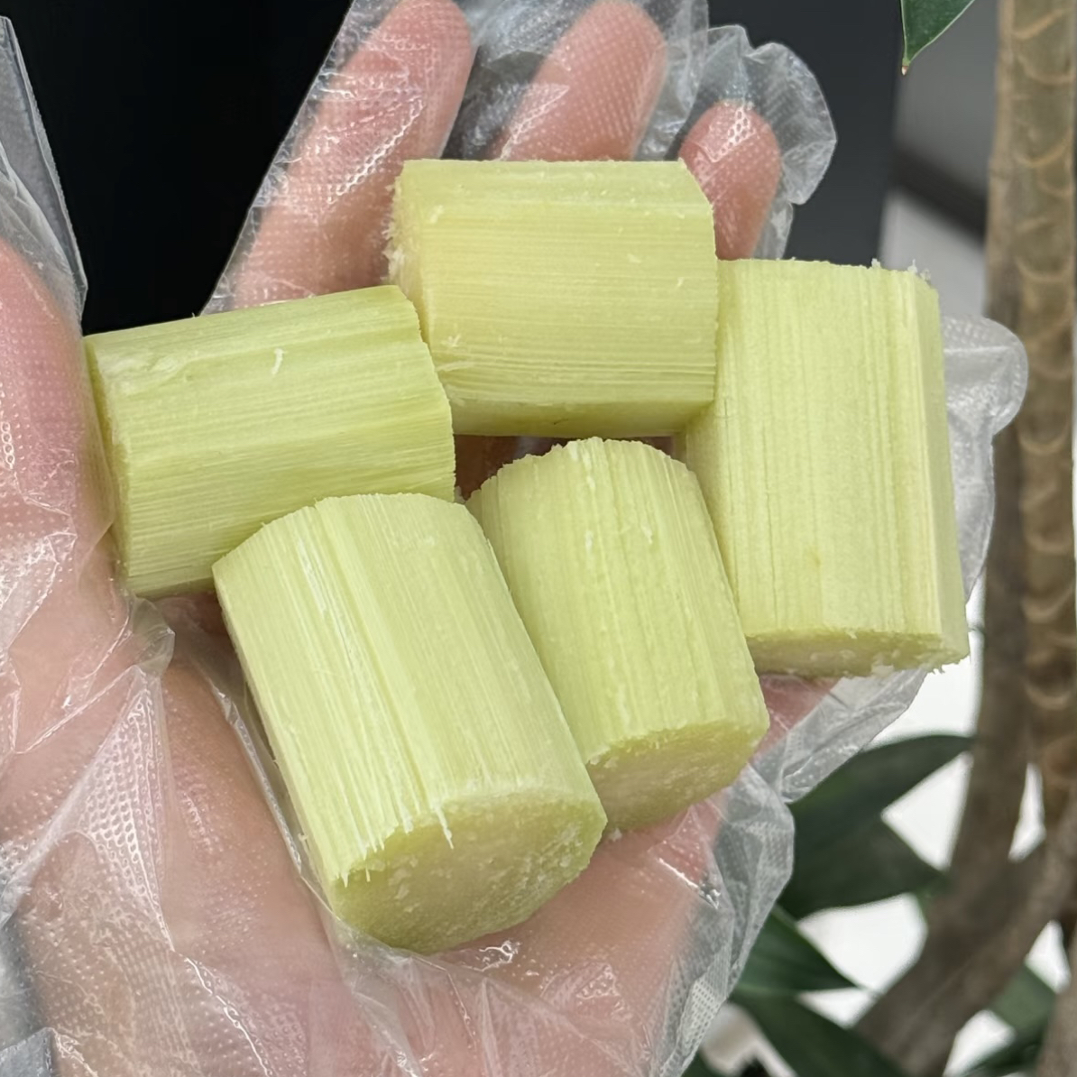 果切西双版纳·黄金甘蔗1盒（约500g）削皮切段