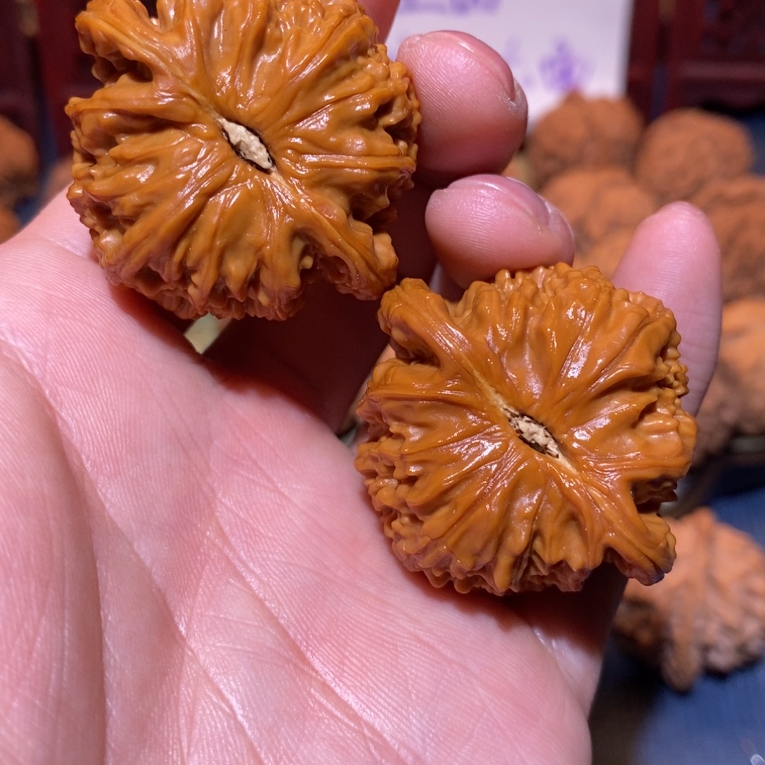 42尺 全品打好底 球白