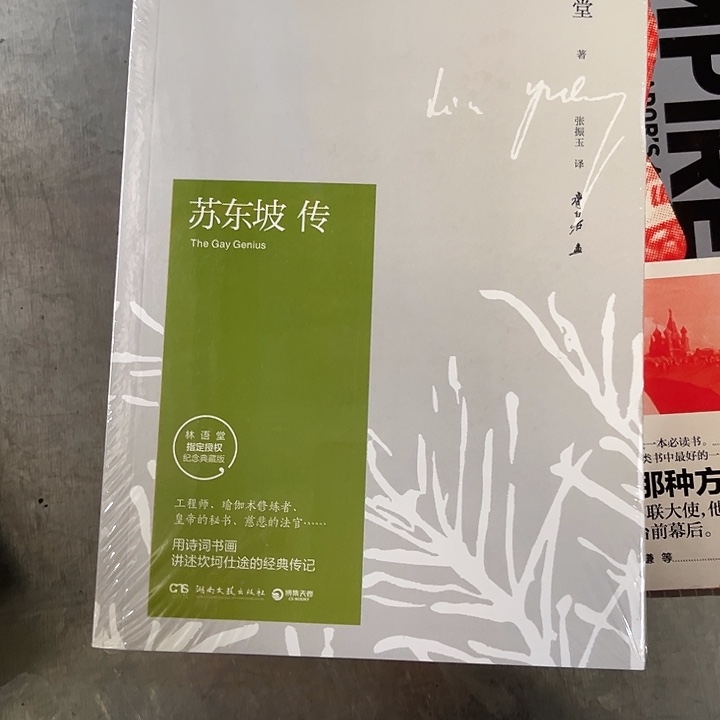 苏东坡传全新推荐