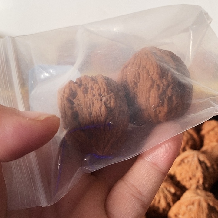 吊坠桃核A**s老树南疆石狮子头