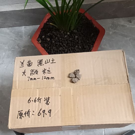 启***立兰菌黑山土大颗粒6.6斤