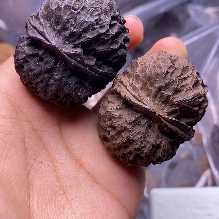 把件文玩核桃   245