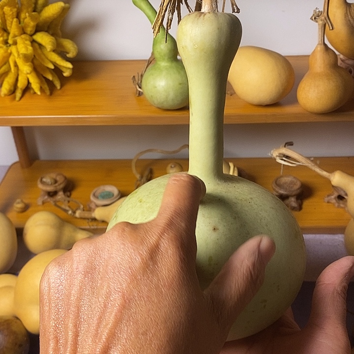 美***嗷青皮异型葫芦摆件手把