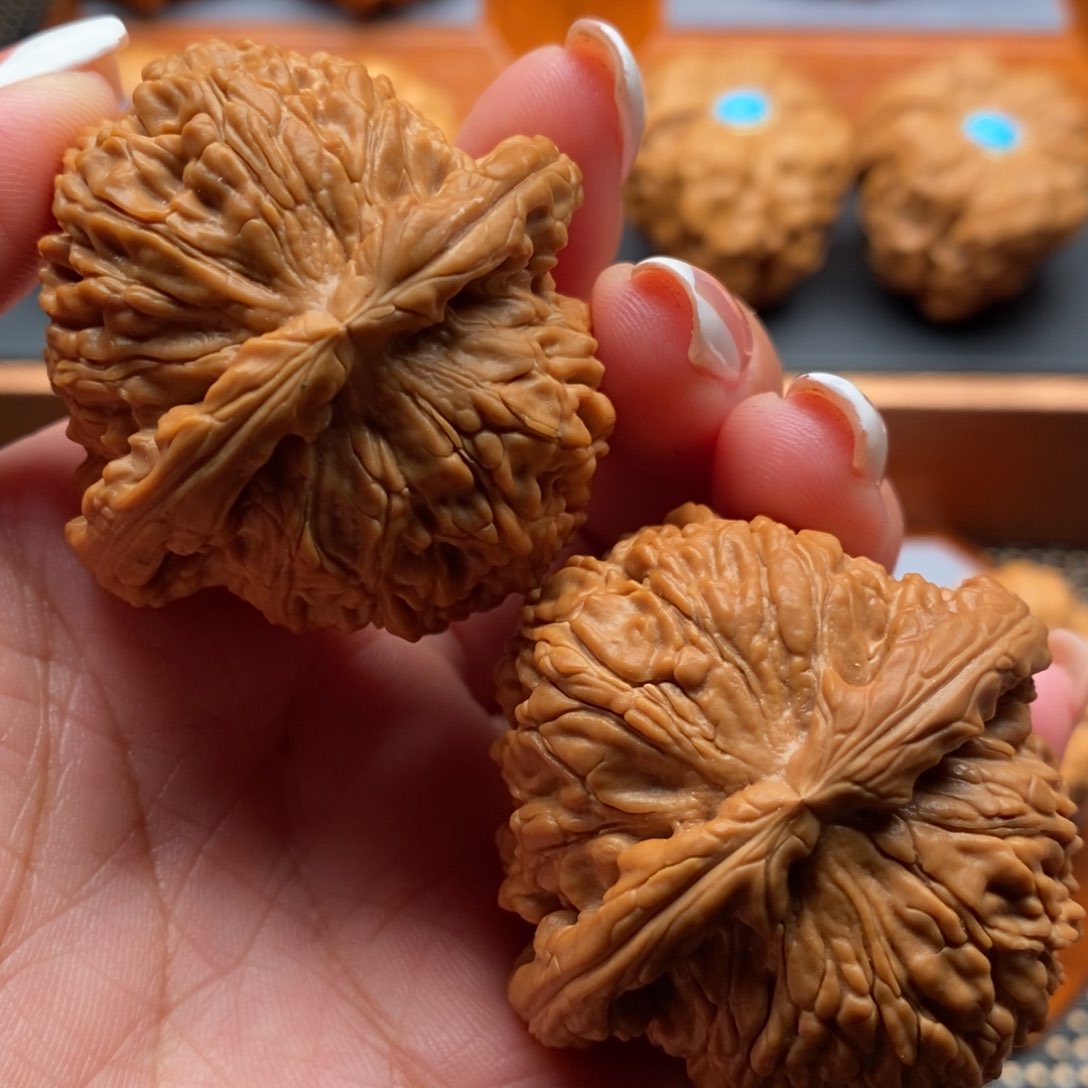 文玩核桃把件45尺寸白狮子