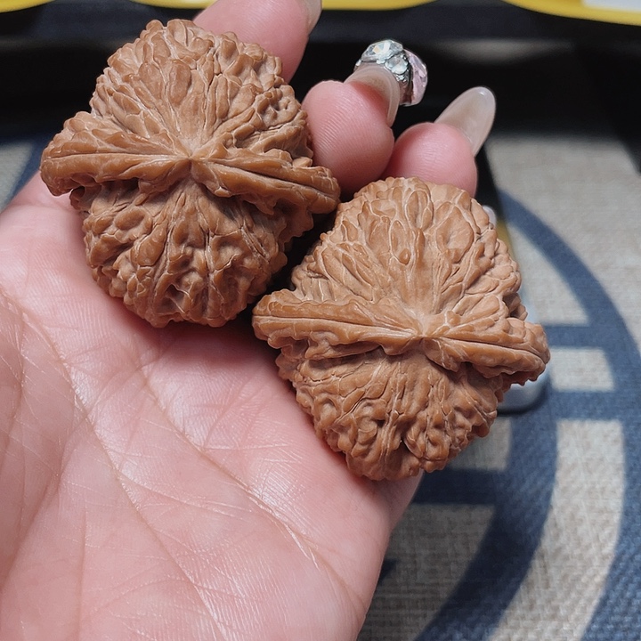 文玩核桃把件M**韩白狮子44