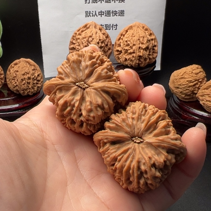 豆**儿34号正高炮老树南将石