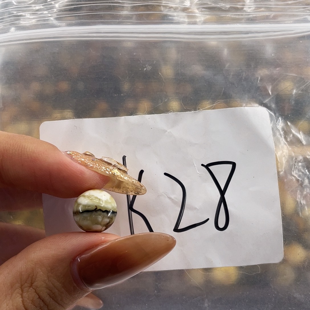 琥珀未镶嵌裸石10.3福利