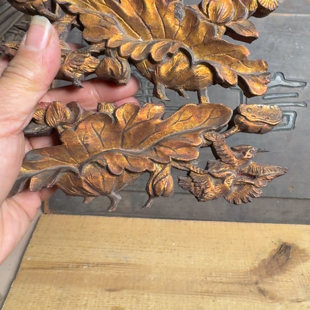 香榧木恭**财我们的士人是