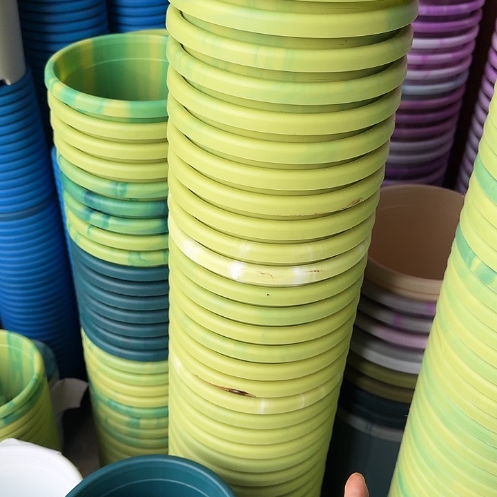 编号2656果绿无托10个