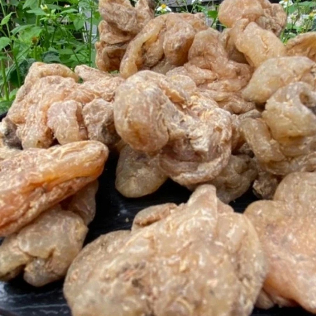 小康收山货～玉精灵非香菇250克～500克