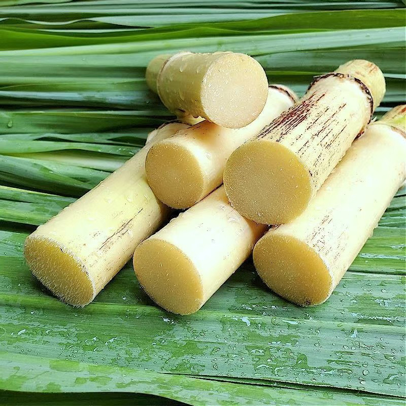 广西特产木格白玉甘蔗玻璃脆甜手撕皮薄水果产地直发清甜多汁