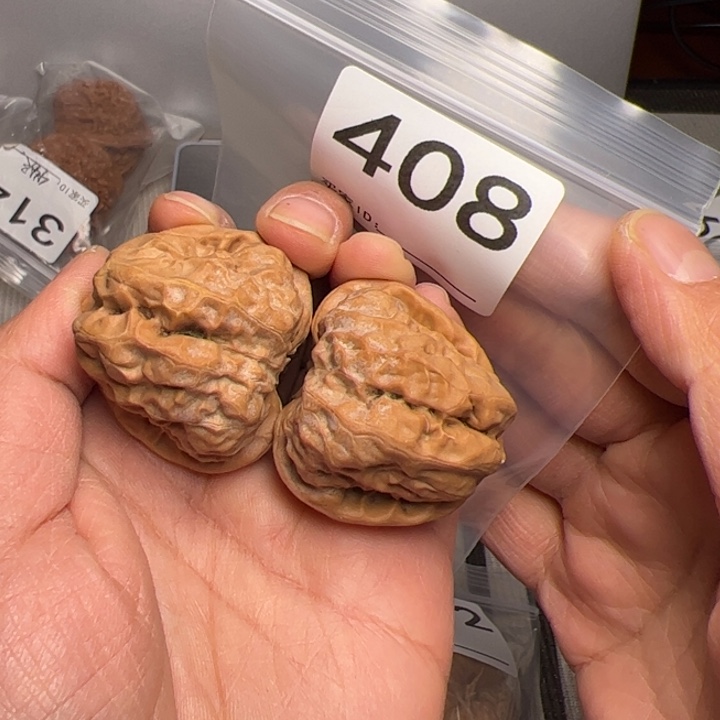 核桃39边42肚408号