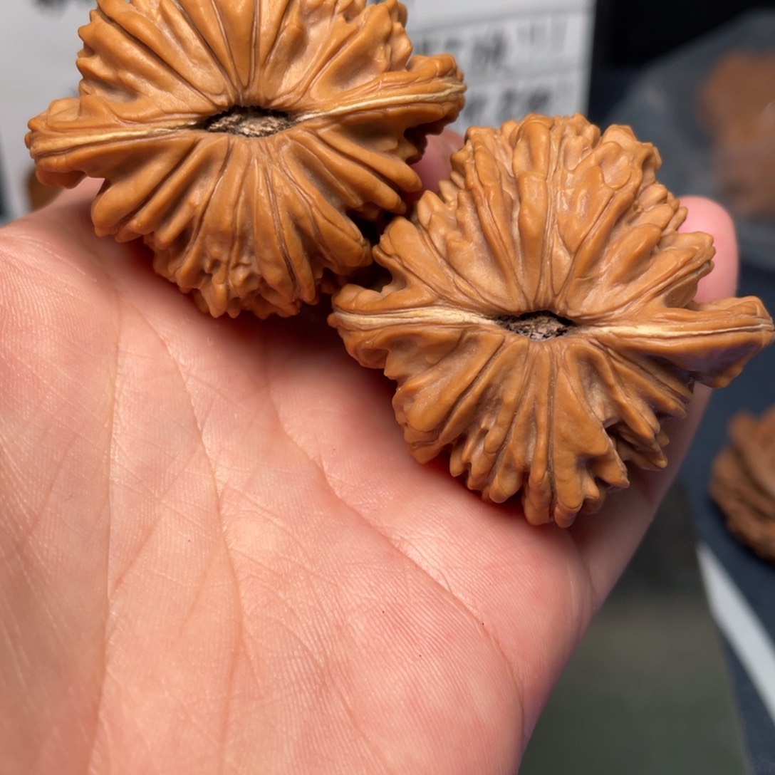 文玩核桃把件巳**意楼子