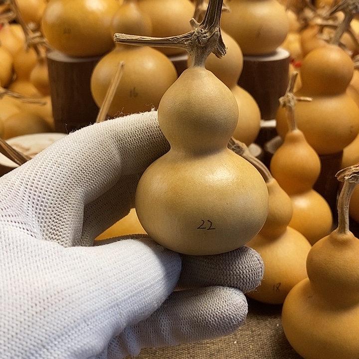 文玩葫芦 完美主义者 慎拍22