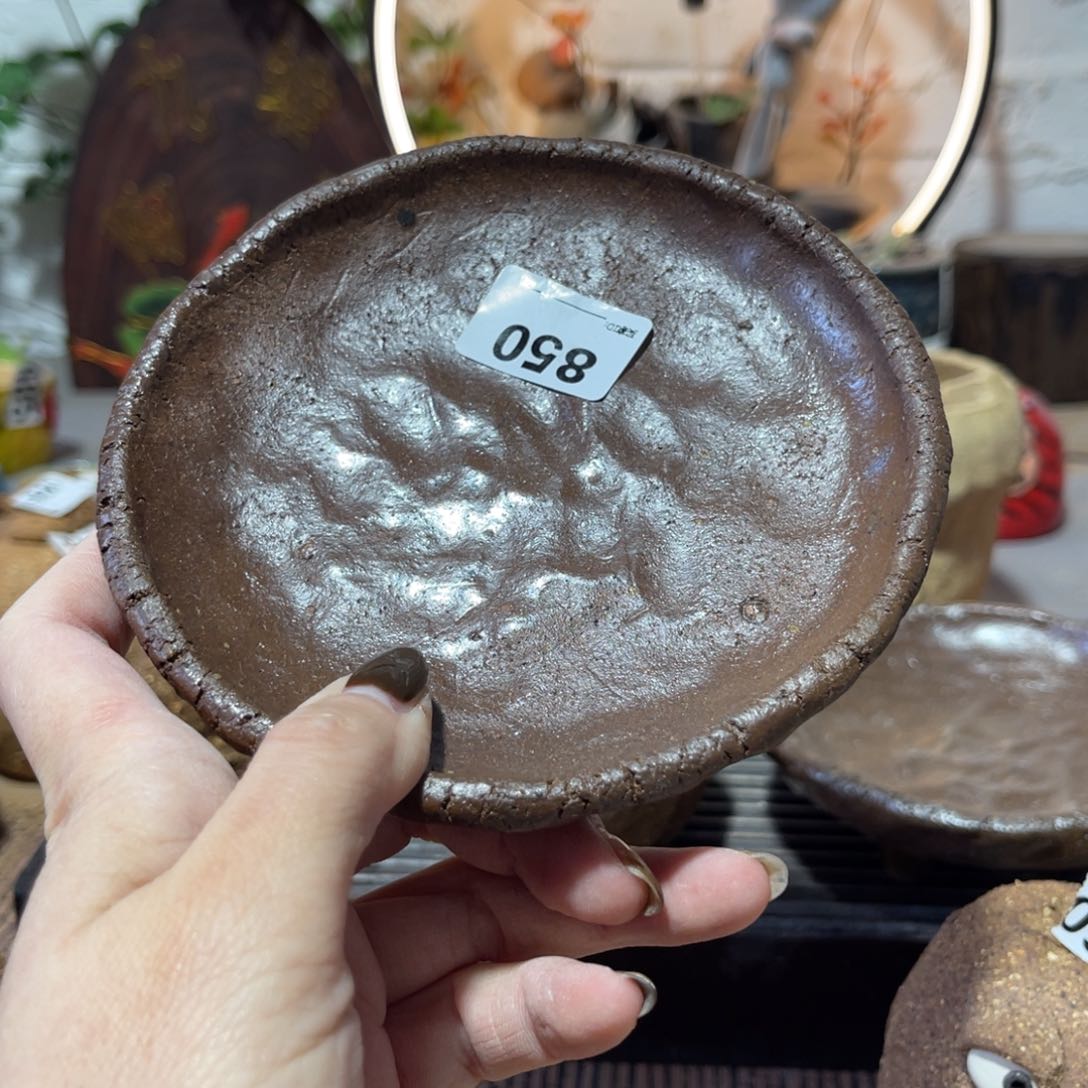 木村信弘柴烧保平