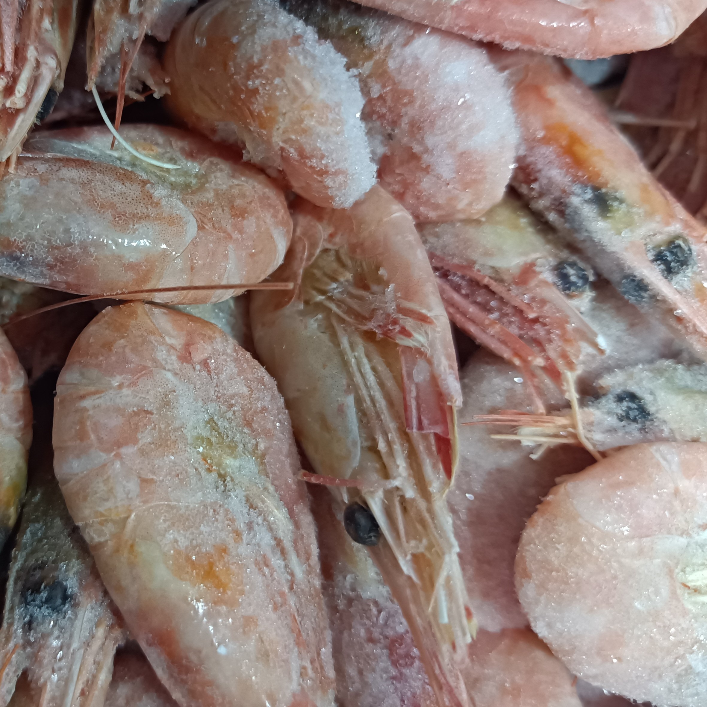 75三斤北极虾甜虾