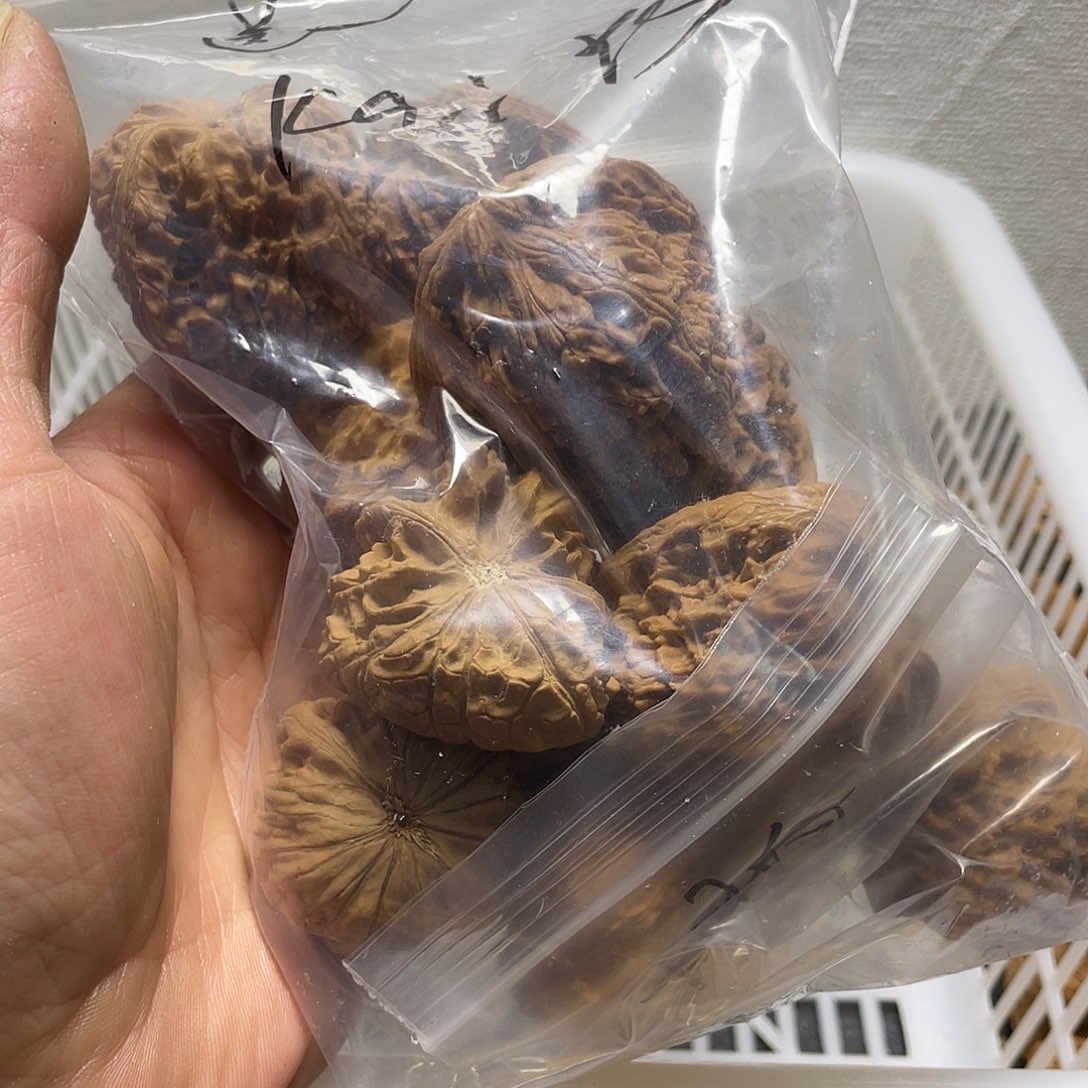 K***S文玩核桃吊坠不退不换