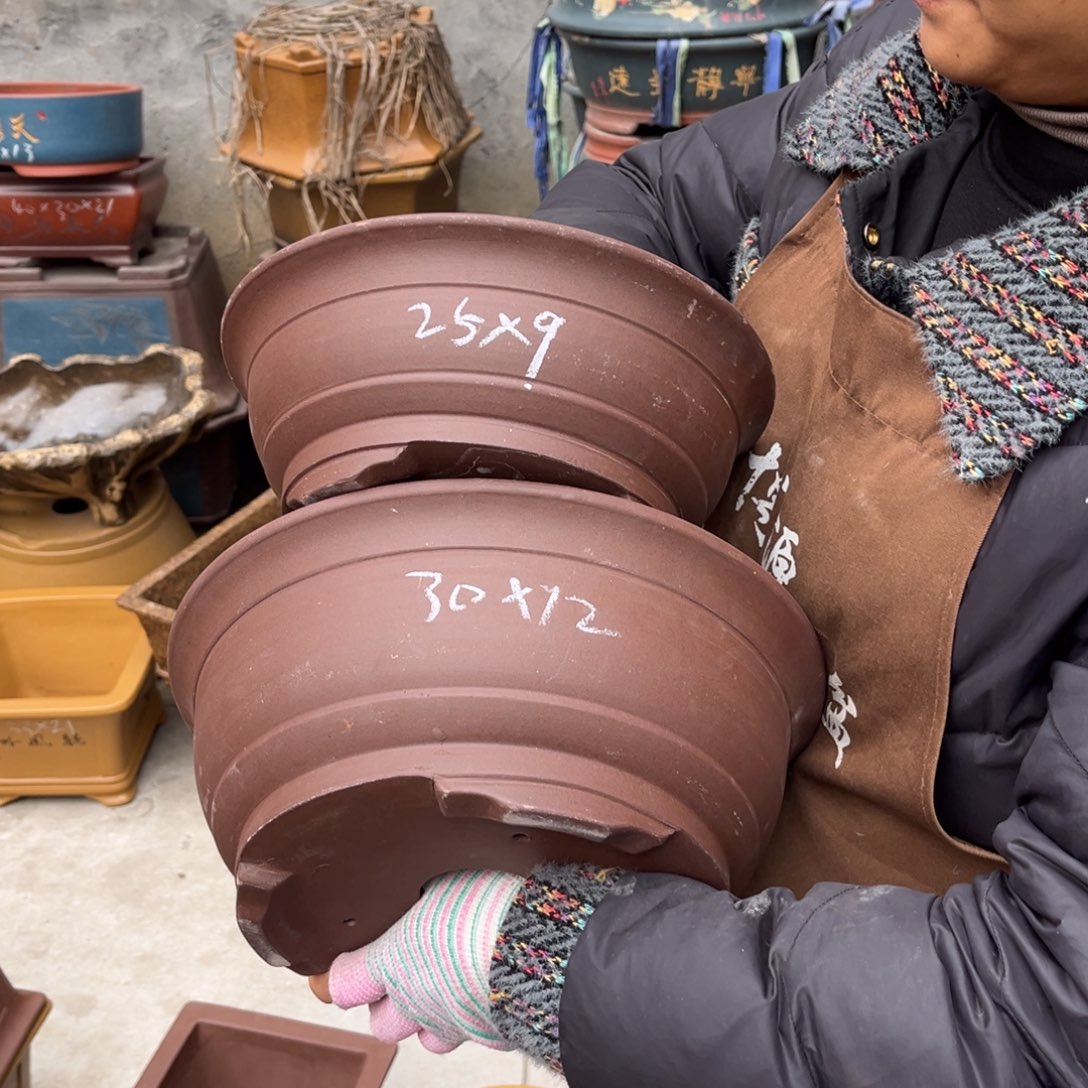 紫砂花盆盆景艺术