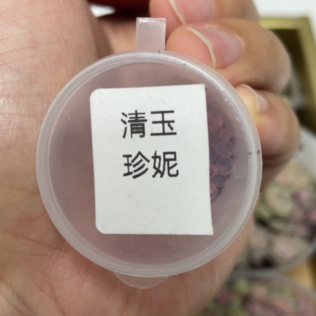 清玉珍妮20粒，新品，对标欧泊甘露寺特欧，超推荐