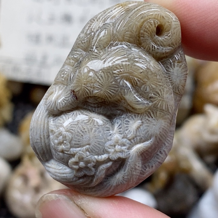 颈饰未镶嵌硅化珊瑚（珊瑚玉）小