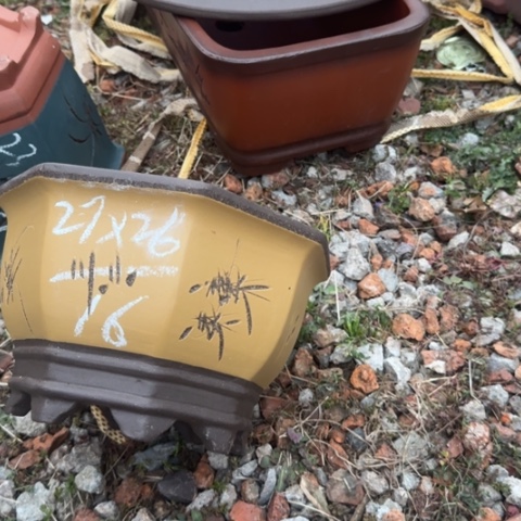 红陶紫砂花盆花盆盆景盆栽