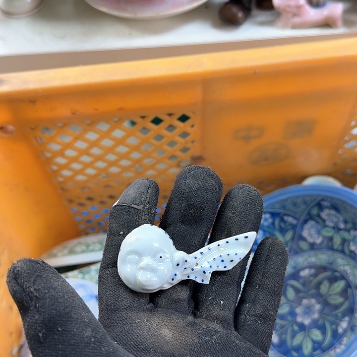 碟开播啦…开播啦