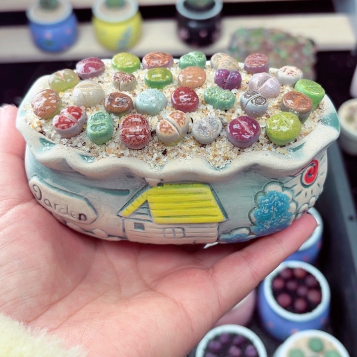 527零下地区记得拍保温箱