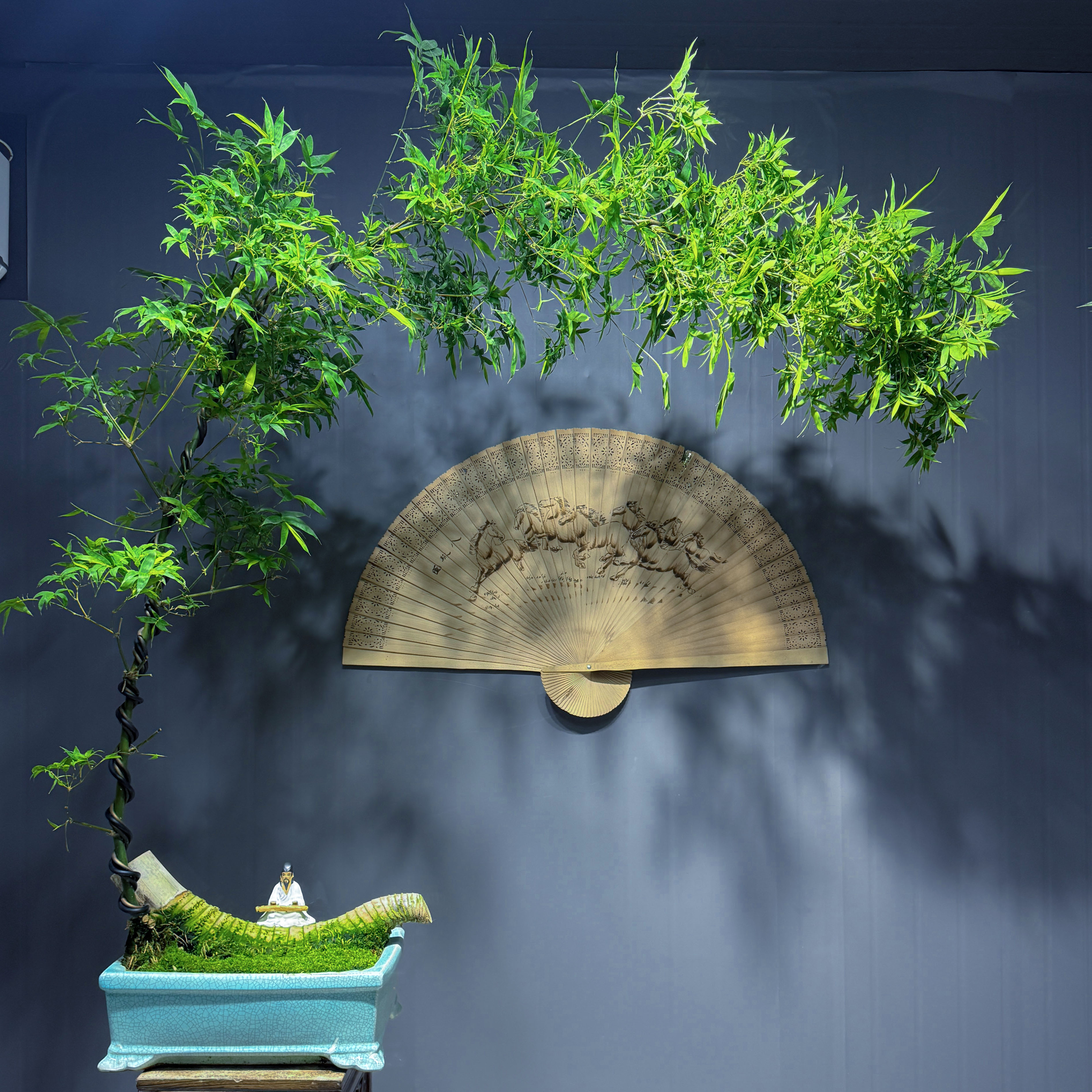 竹韵精选意境款#大气典雅款小叶簕竹高端盆景，超级百搭，四季常青。