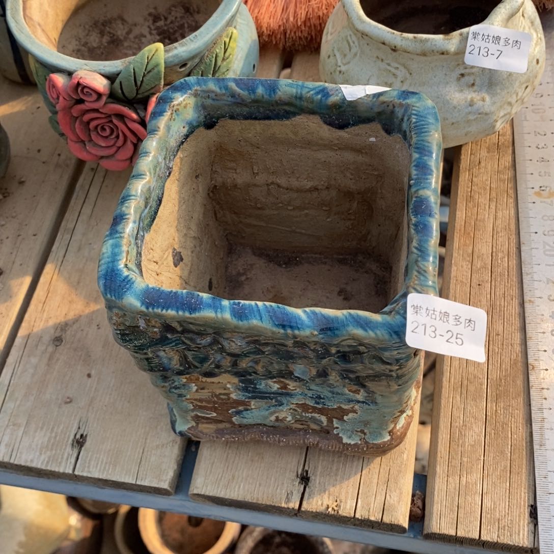 红陶两***间25号多肉盆一个呀