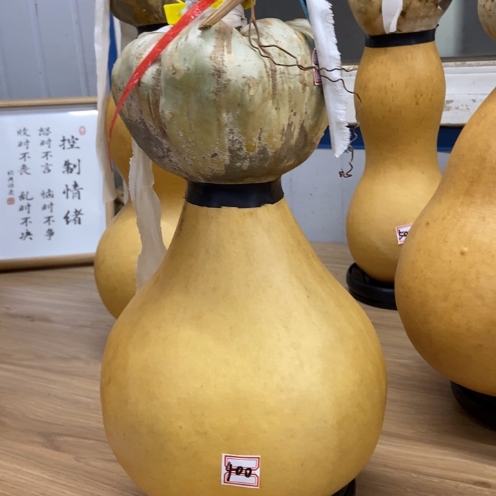 二***爷葫芦葫芦葫芦葫芦