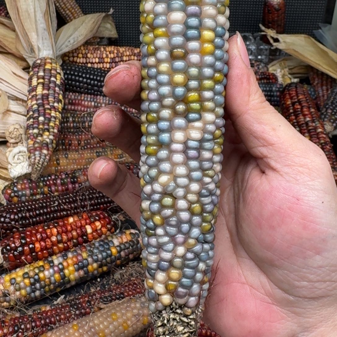 柏香籽/百香籽吊坠k**o