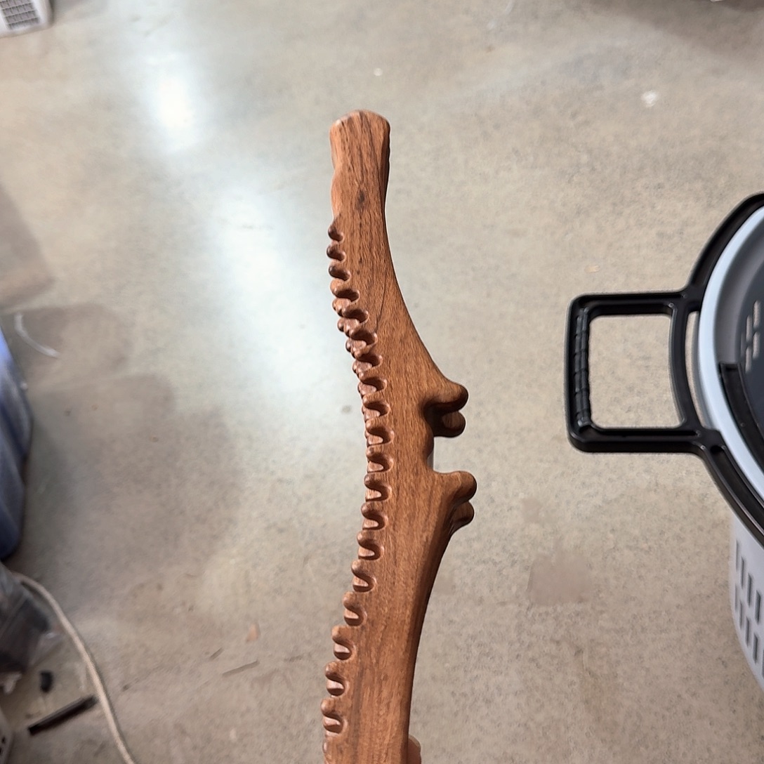 红贵宝40厘米灵感微瑕