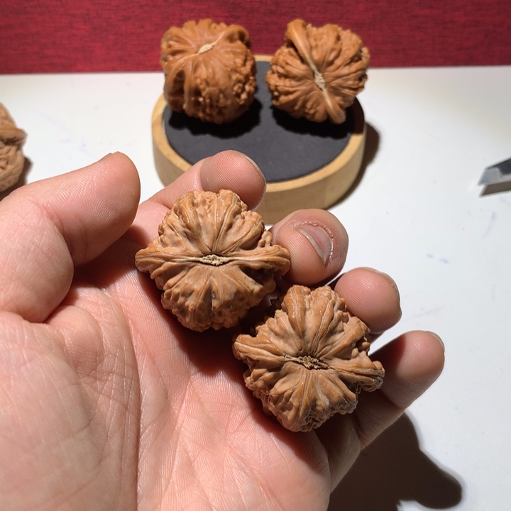 把件文玩核桃N*.白狮子