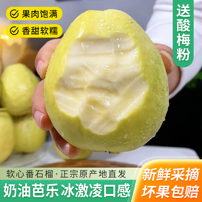 【特大果】正宗广西白心奶油芭乐番石榴产地直发应季新鲜芭乐水果
