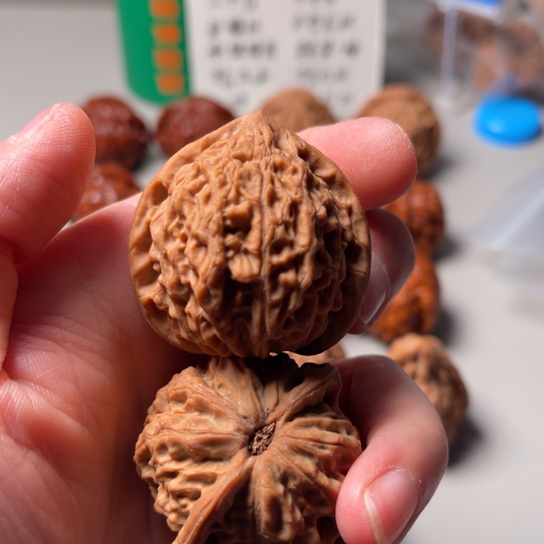 文玩核桃把件金牛