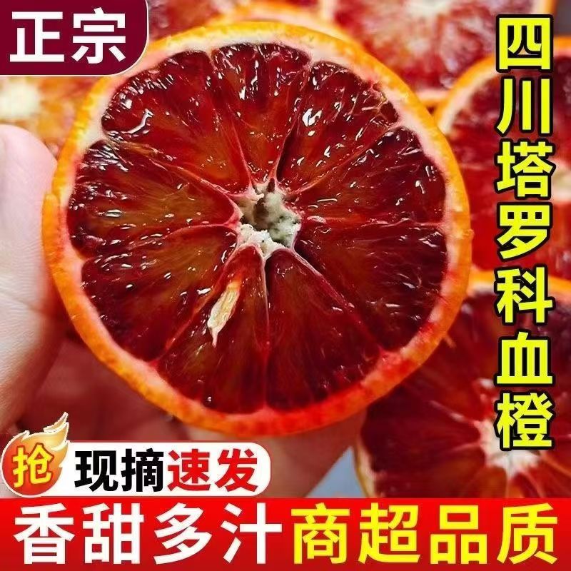 正宗四川塔罗科玫瑰血橙当季新鲜水果红心甜橙子重庆中华红橙子