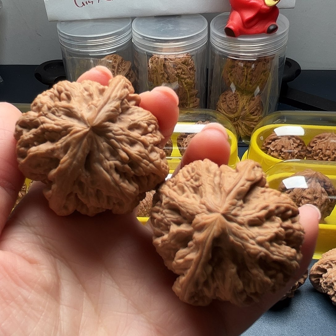 核桃45尺寸大球粗筋