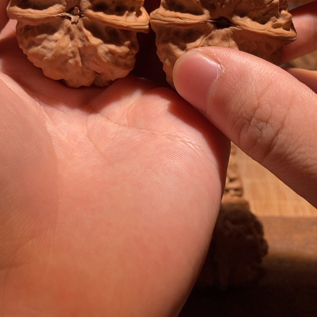 ✵****文玩核桃吊坠蛤蟆头D35