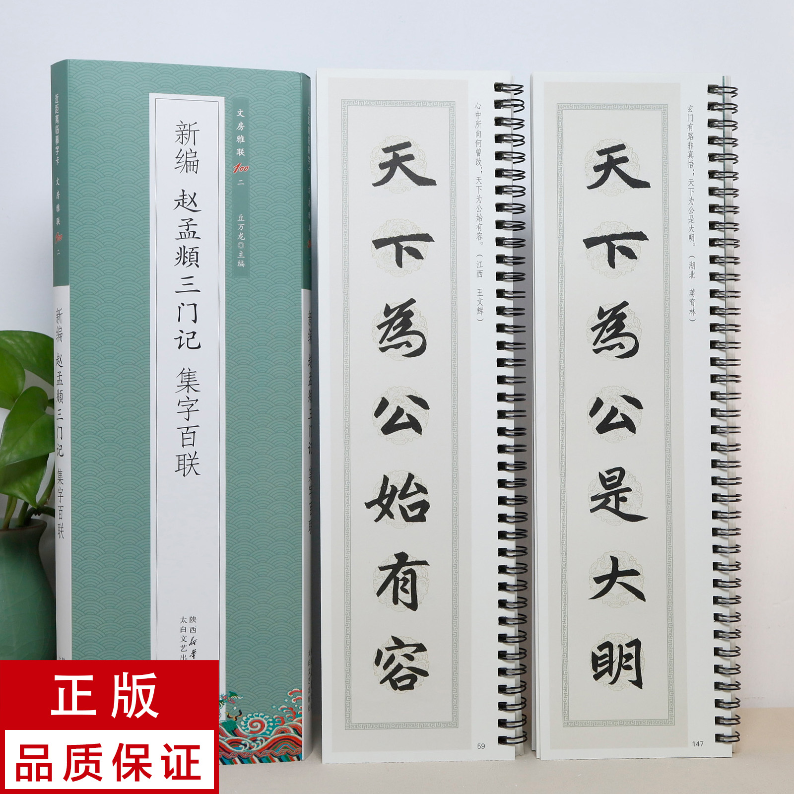 【新编集字联】赵孟頫楷书三门记2册 静文轩近距离临摹字帖