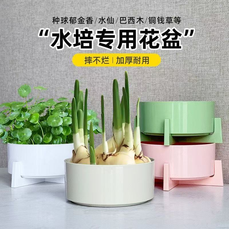 【水仙花盆】水培植物专用盆四季开花室内桌面装饰