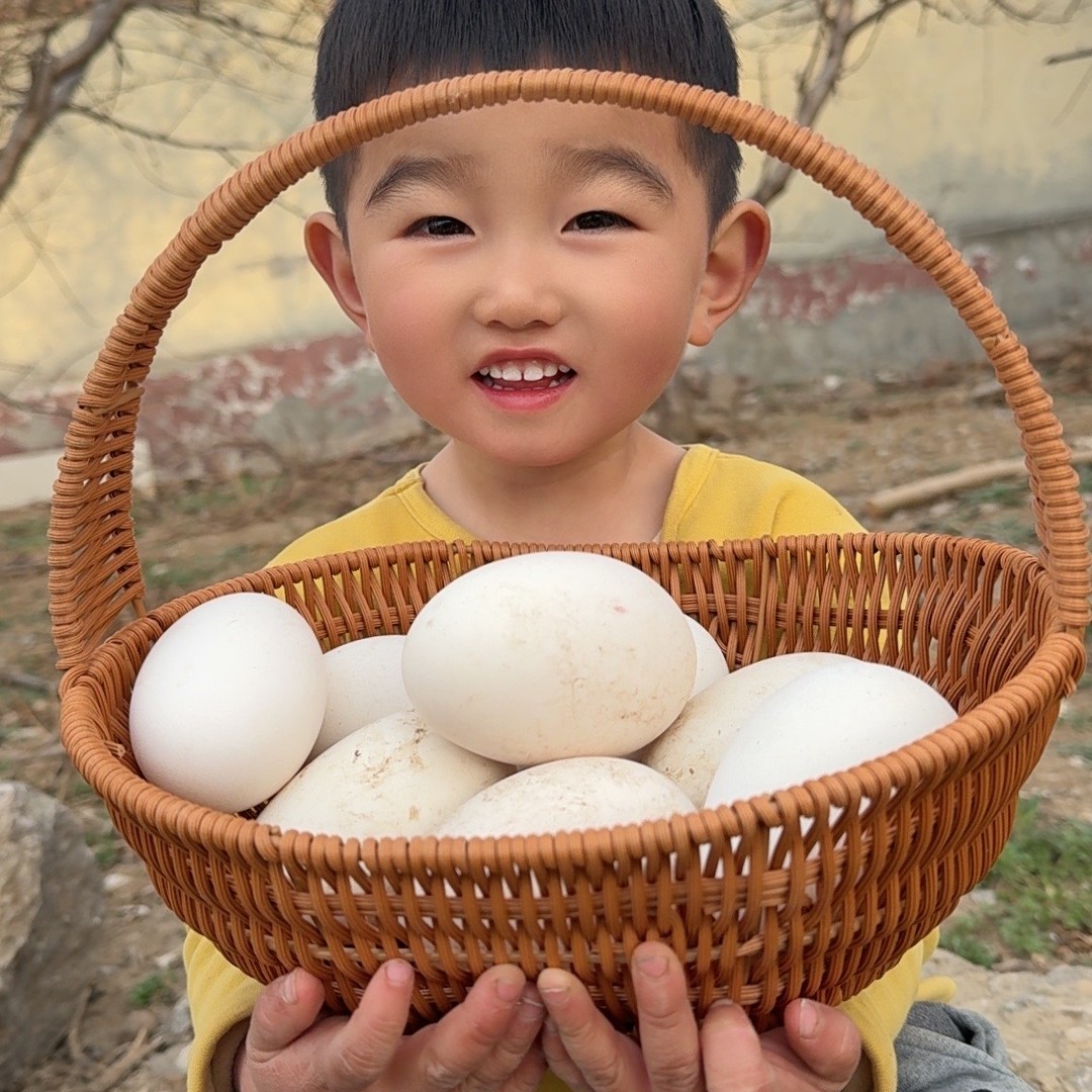 【顺丰EMS】绿养道新鲜散养鹅蛋