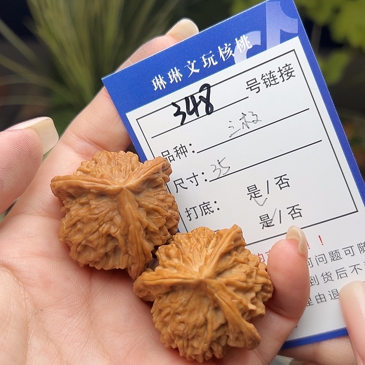 文玩核桃吊坠核桃树348
