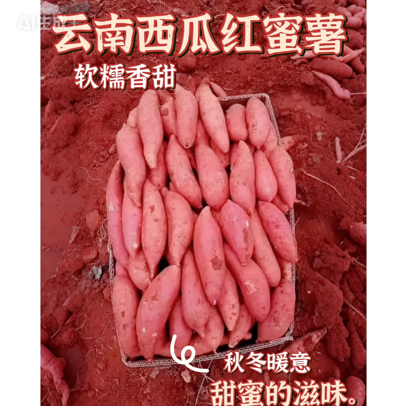 云南高山沙土西瓜红蜜薯新鲜现挖薄皮香甜无丝超美味