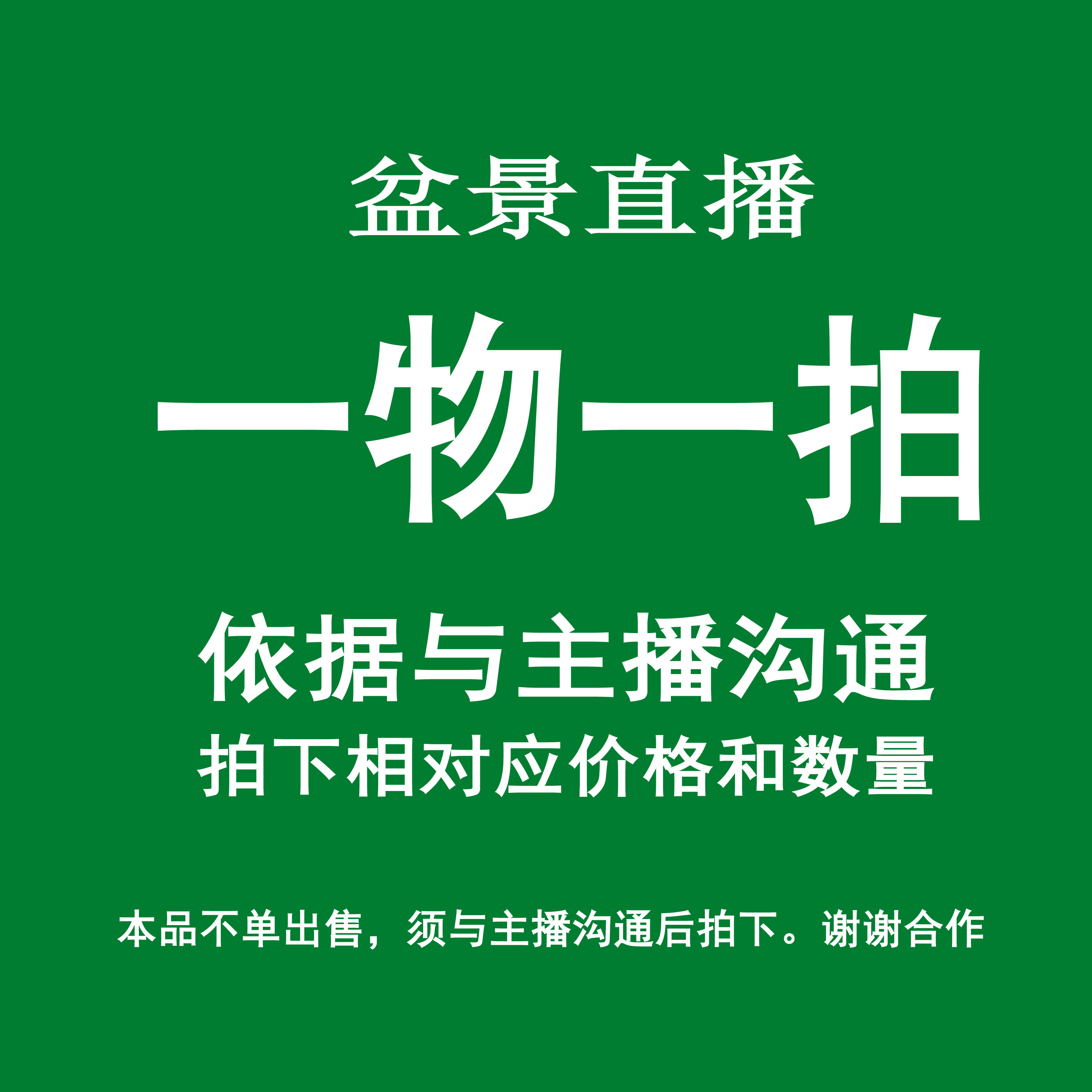 直播间迎春花一物一拍   惠客