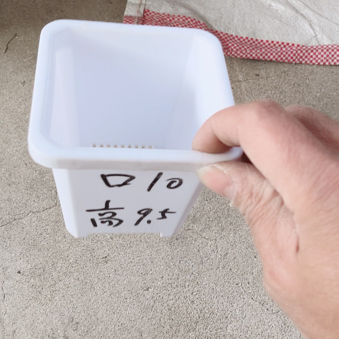 树脂升级款景天10方白色盆10个无托