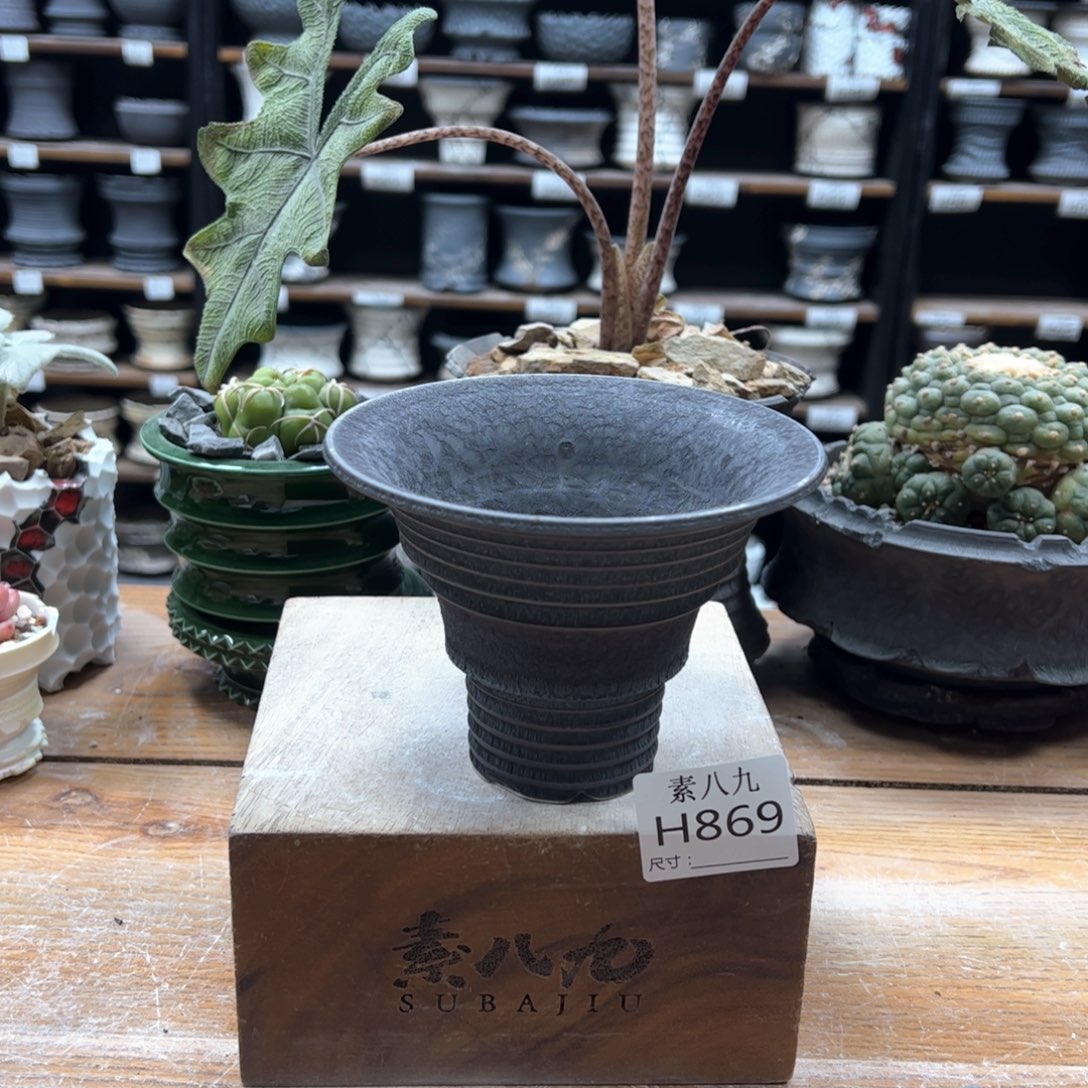 素八九陶瓷内口12.5高9瑕疵