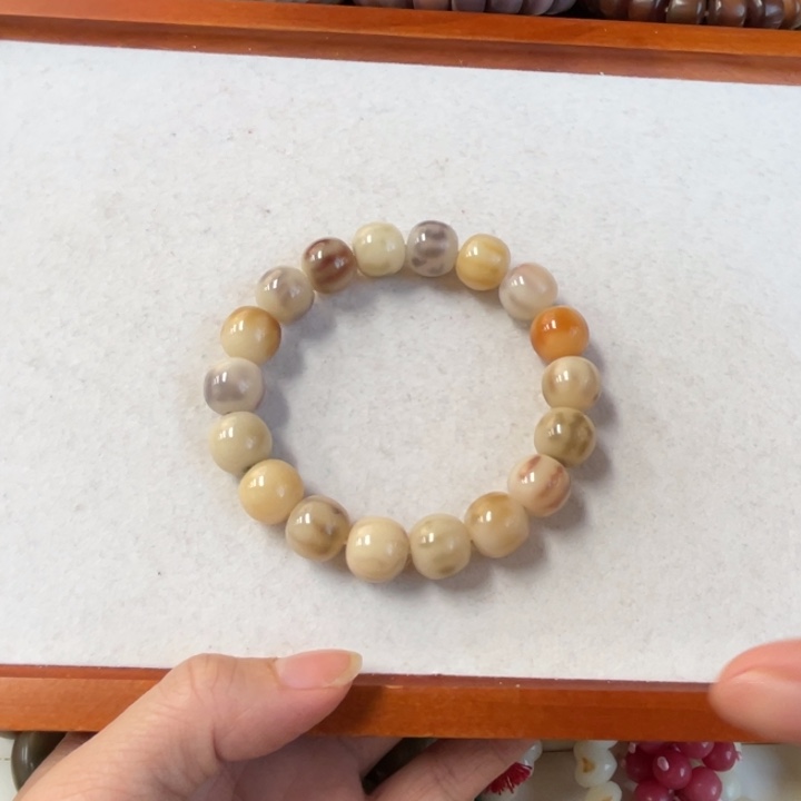 吊坠菩提根/象牙果福利