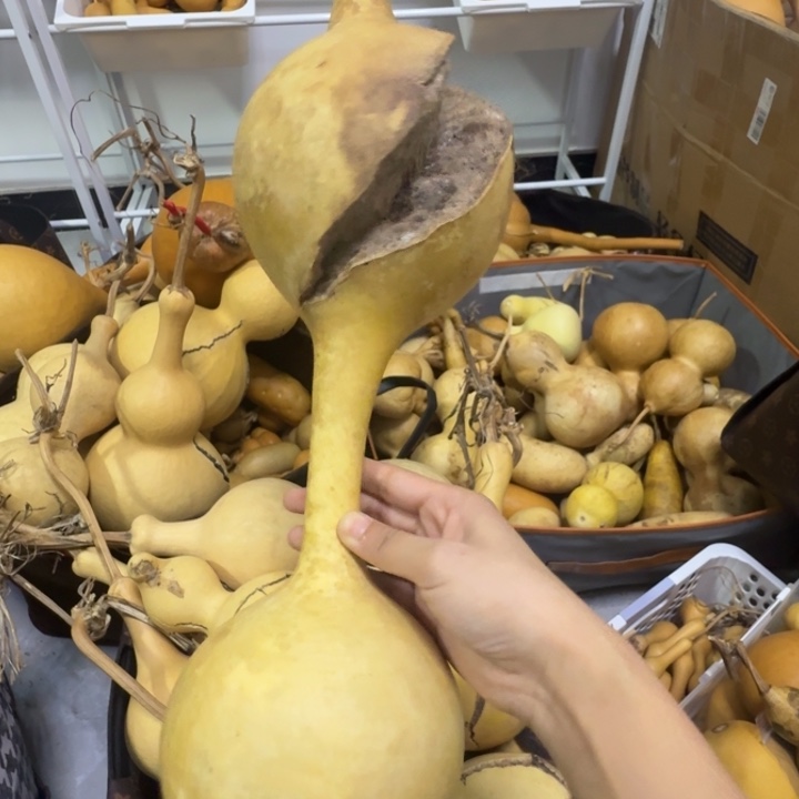 ¹***⁰我也不知道我为什么要这样对你