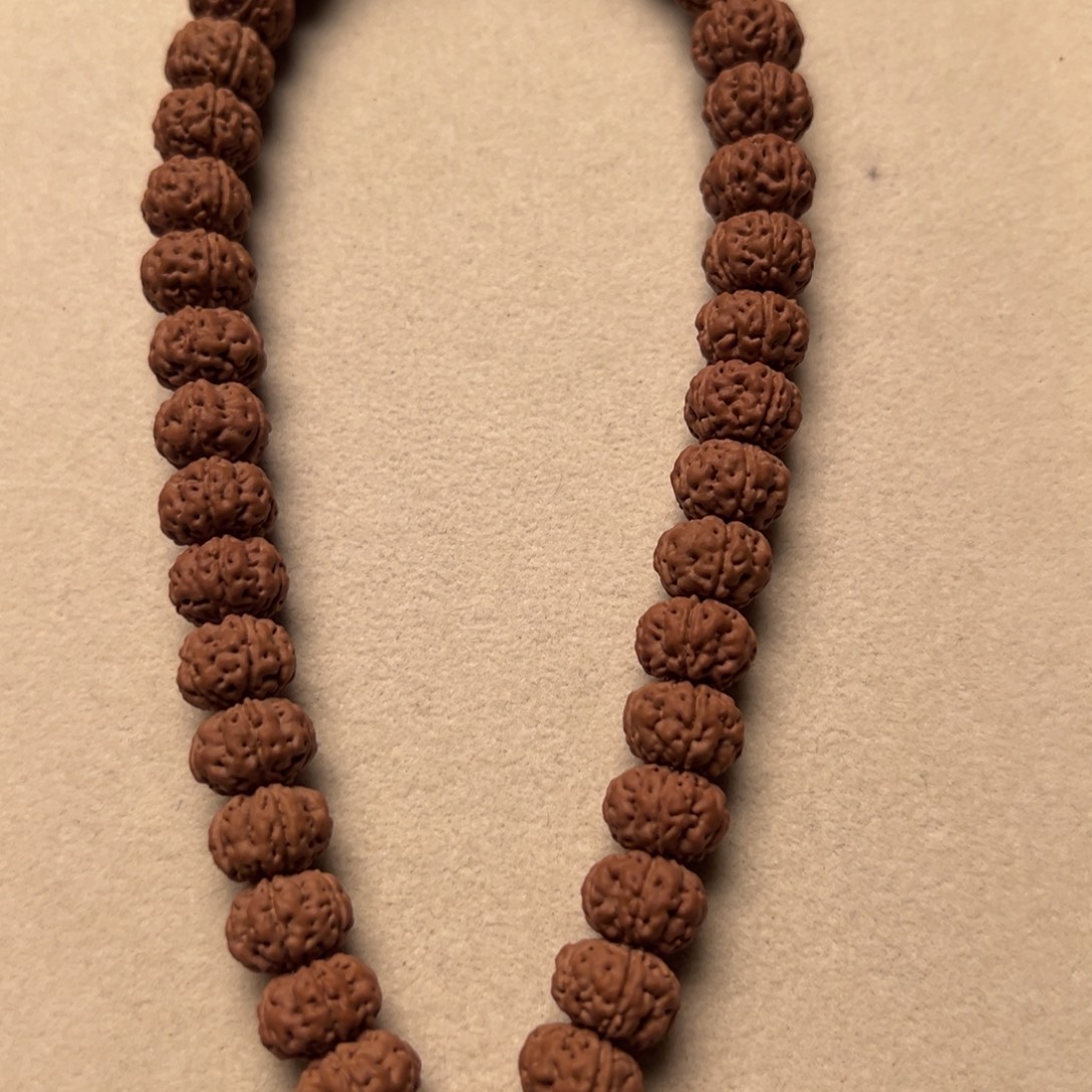 自***年菩提籽类9999999999