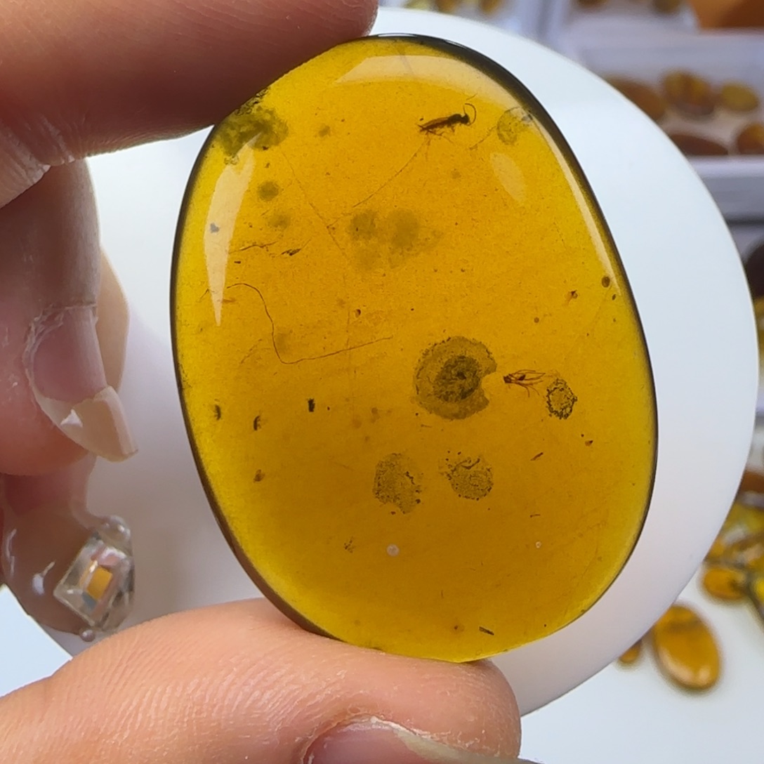 琥珀裸石未镶嵌菌